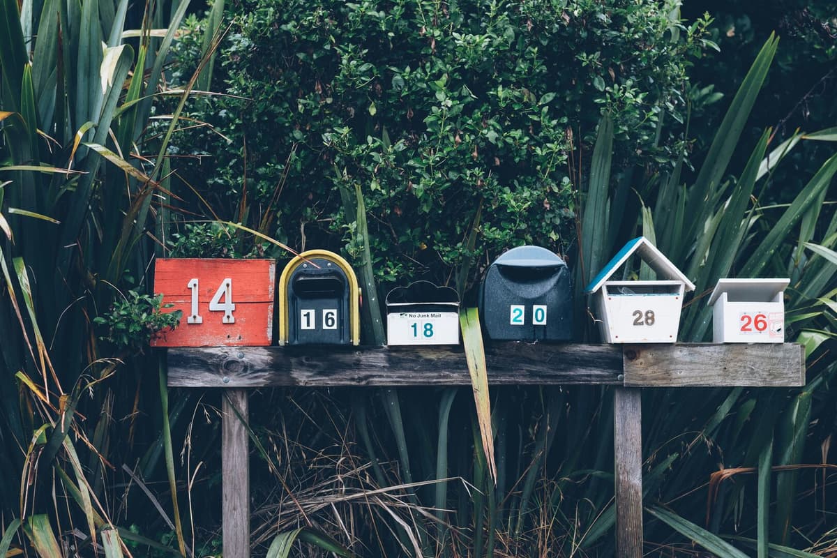 Newsletter Sequoia